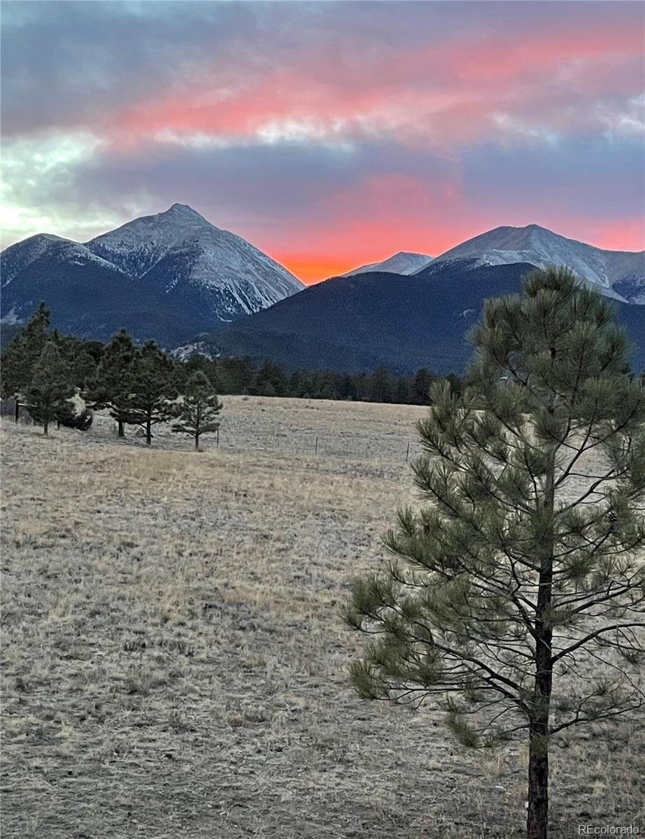 MLS Image #5 for 13940  county road 261f ,nathrop, Colorado