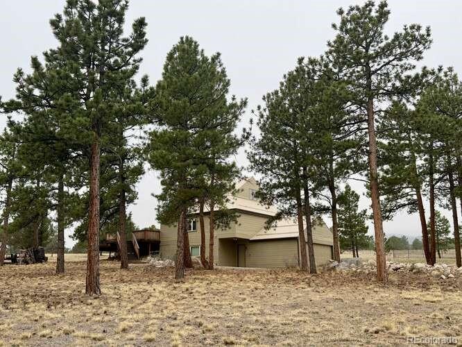 MLS Image #7 for 13940  county road 261f ,nathrop, Colorado