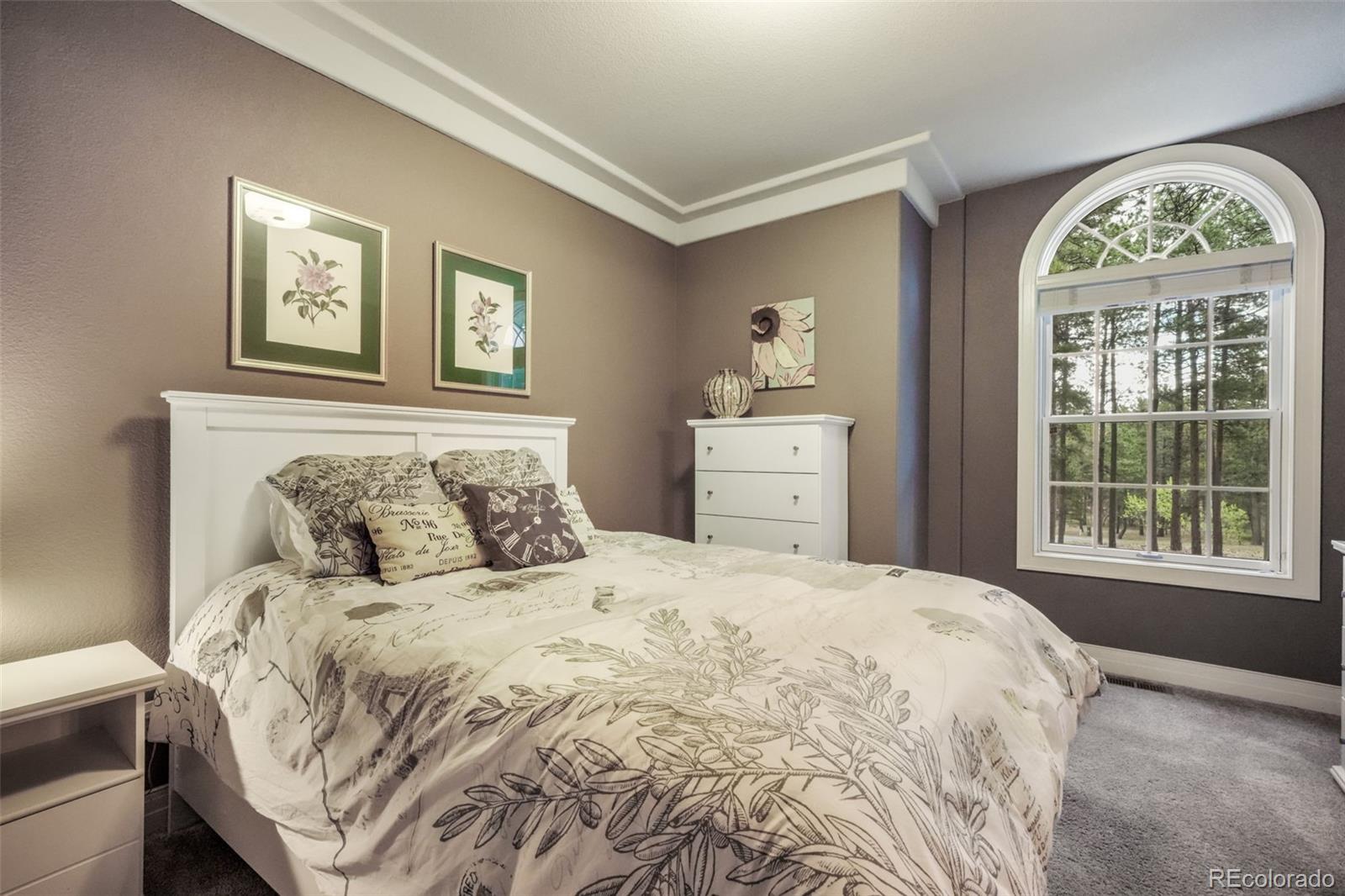 MLS Image #31 for 20088  wissler ranch road,colorado springs, Colorado