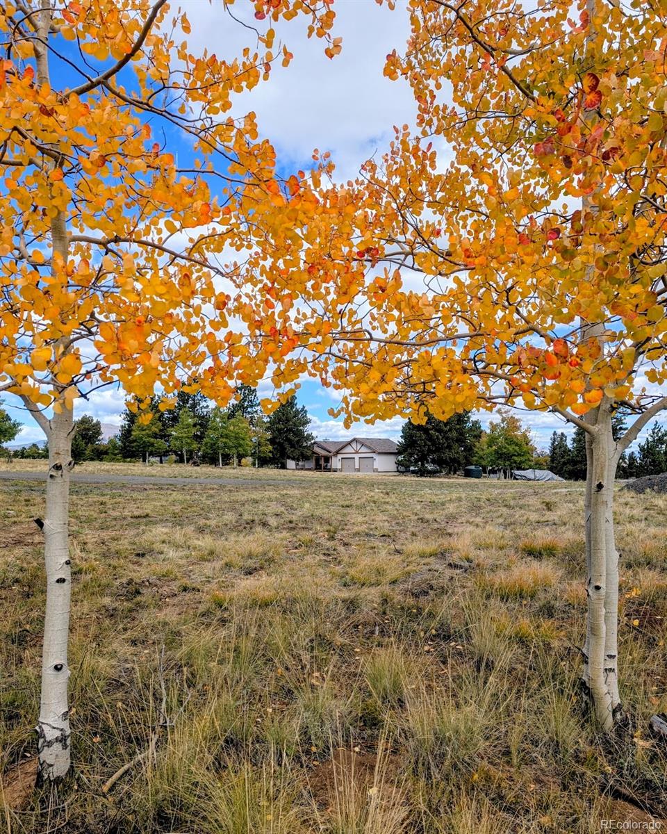 MLS Image #30 for 3561  singletree road,hartsel, Colorado
