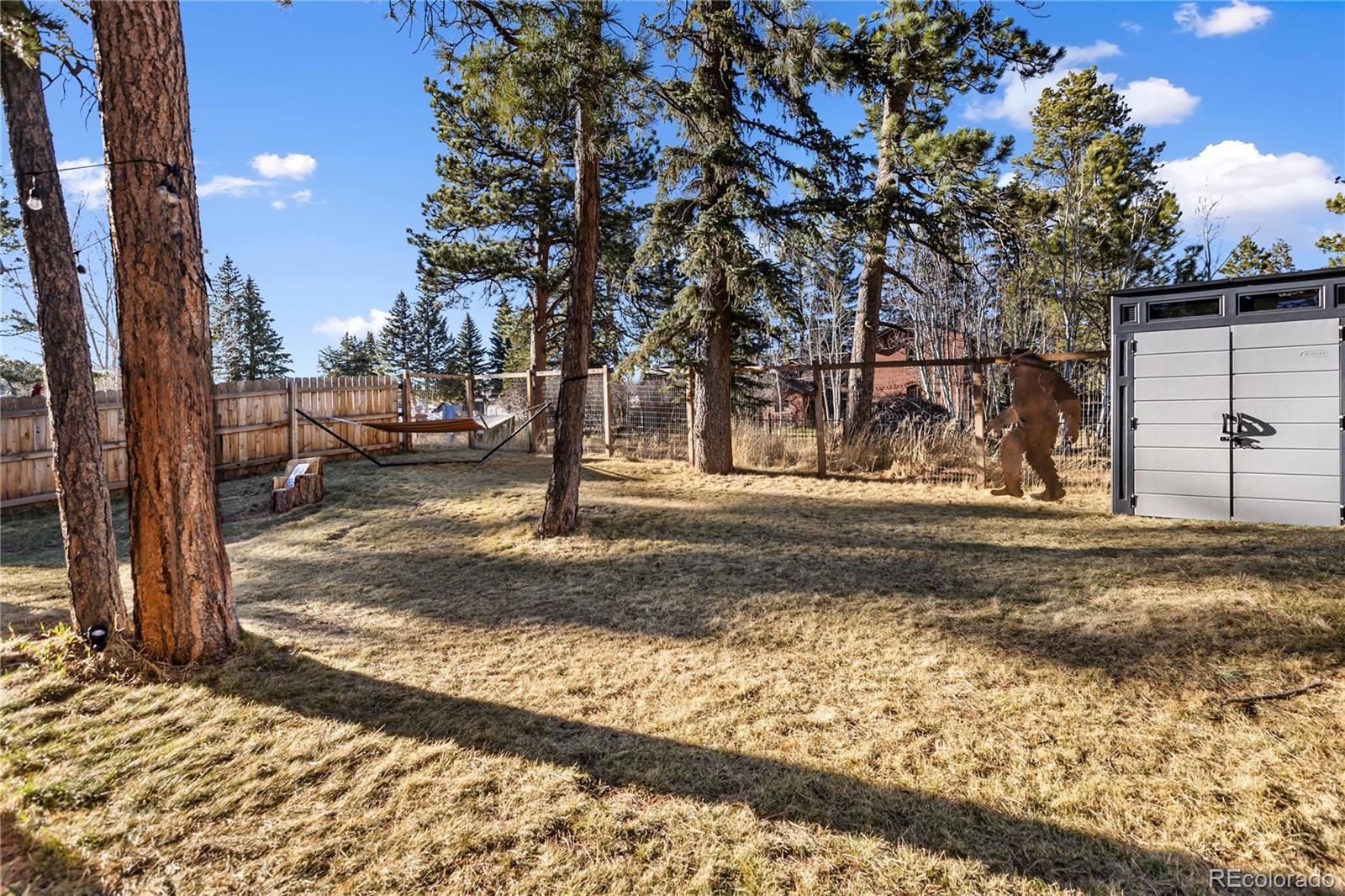 MLS Image #34 for 118 e chester avenue,woodland park, Colorado