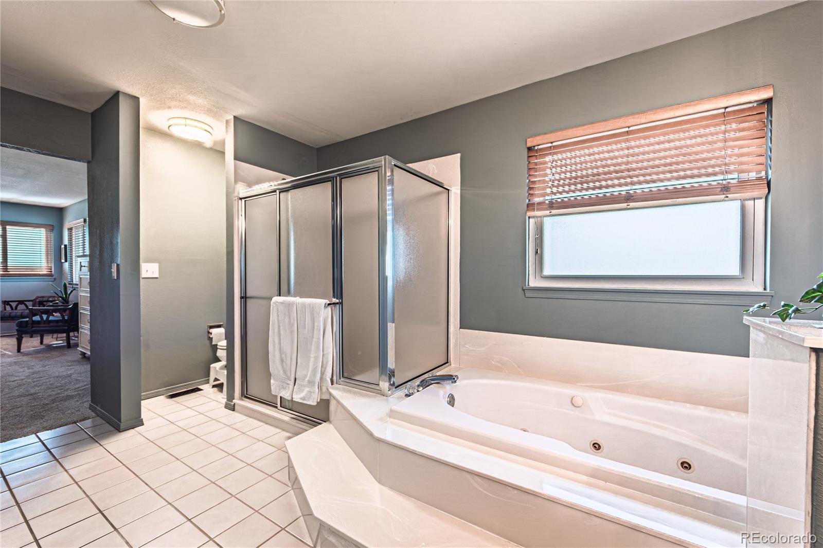 MLS Image #22 for 9110  link road,fountain, Colorado