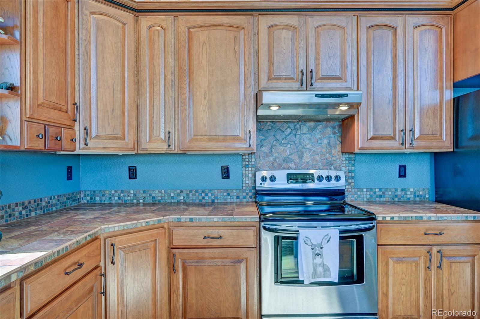 MLS Image #15 for 1136  bellows road,hartsel, Colorado