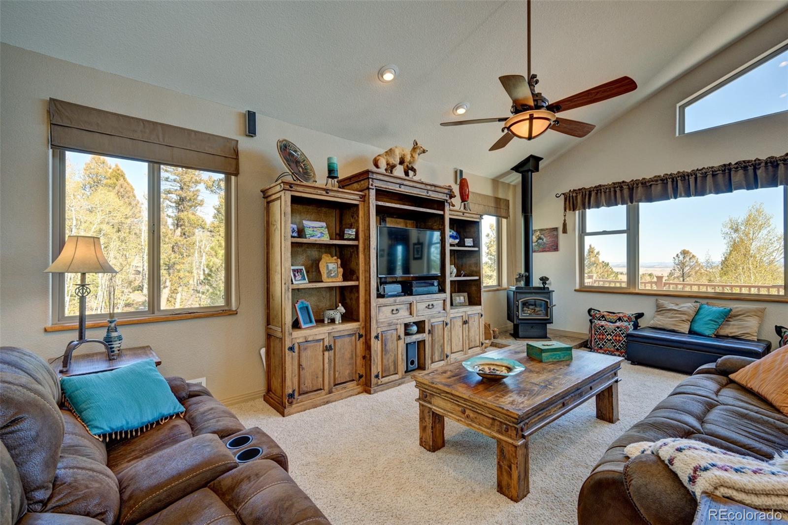 MLS Image #23 for 1136  bellows road,hartsel, Colorado