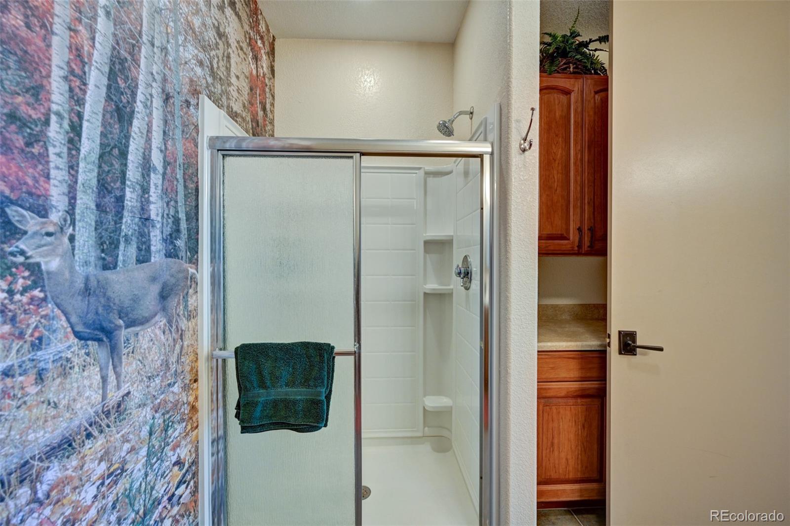 MLS Image #38 for 1136  bellows road,hartsel, Colorado