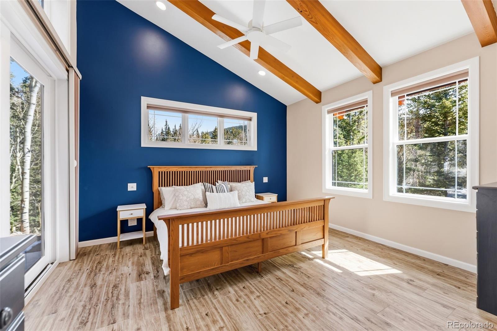 MLS Image #11 for 1227  edgewood road,fairplay, Colorado