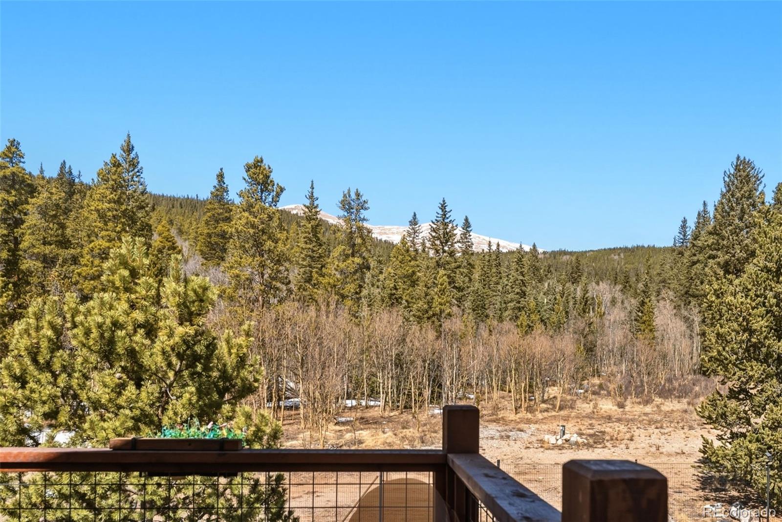 MLS Image #30 for 1227  edgewood road,fairplay, Colorado