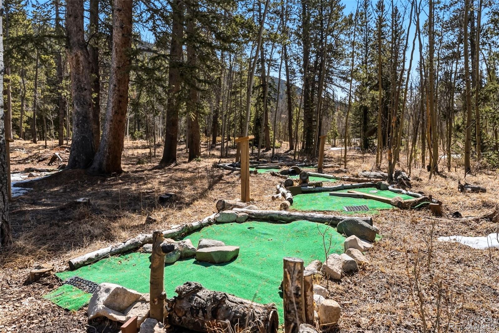 MLS Image #33 for 1227  edgewood road,fairplay, Colorado