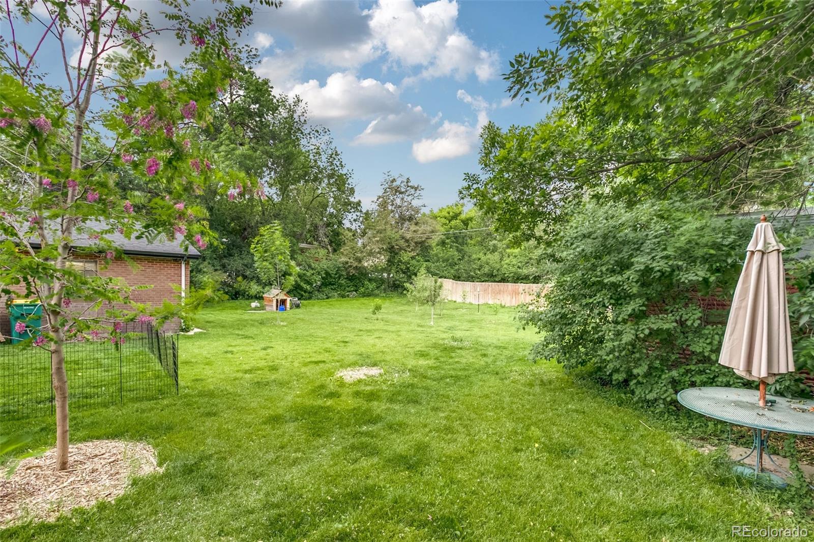 MLS Image #34 for 755  holland street,lakewood, Colorado