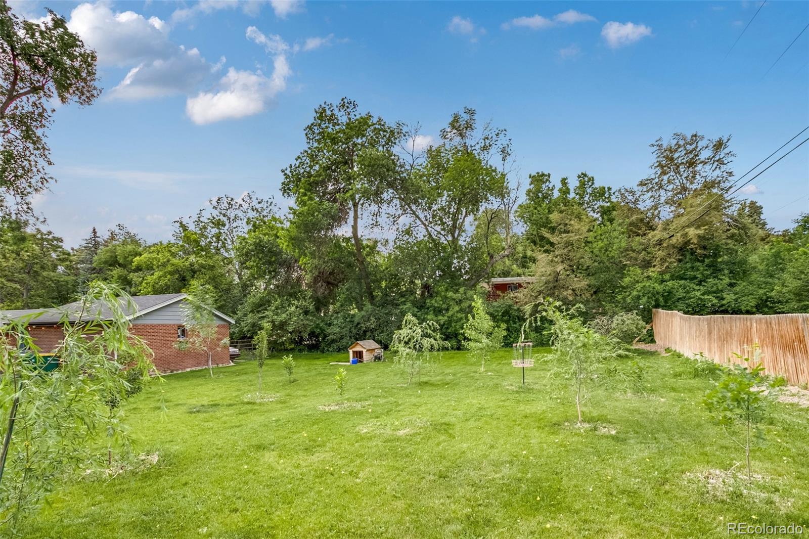 MLS Image #37 for 755  holland street,lakewood, Colorado