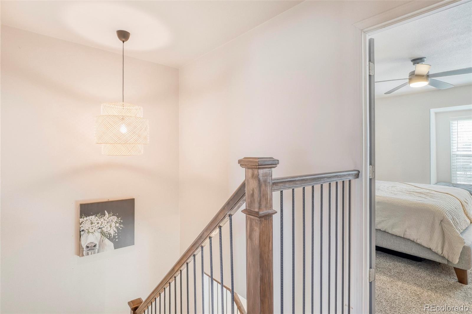 MLS Image #12 for 3463 s ammons street,lakewood, Colorado