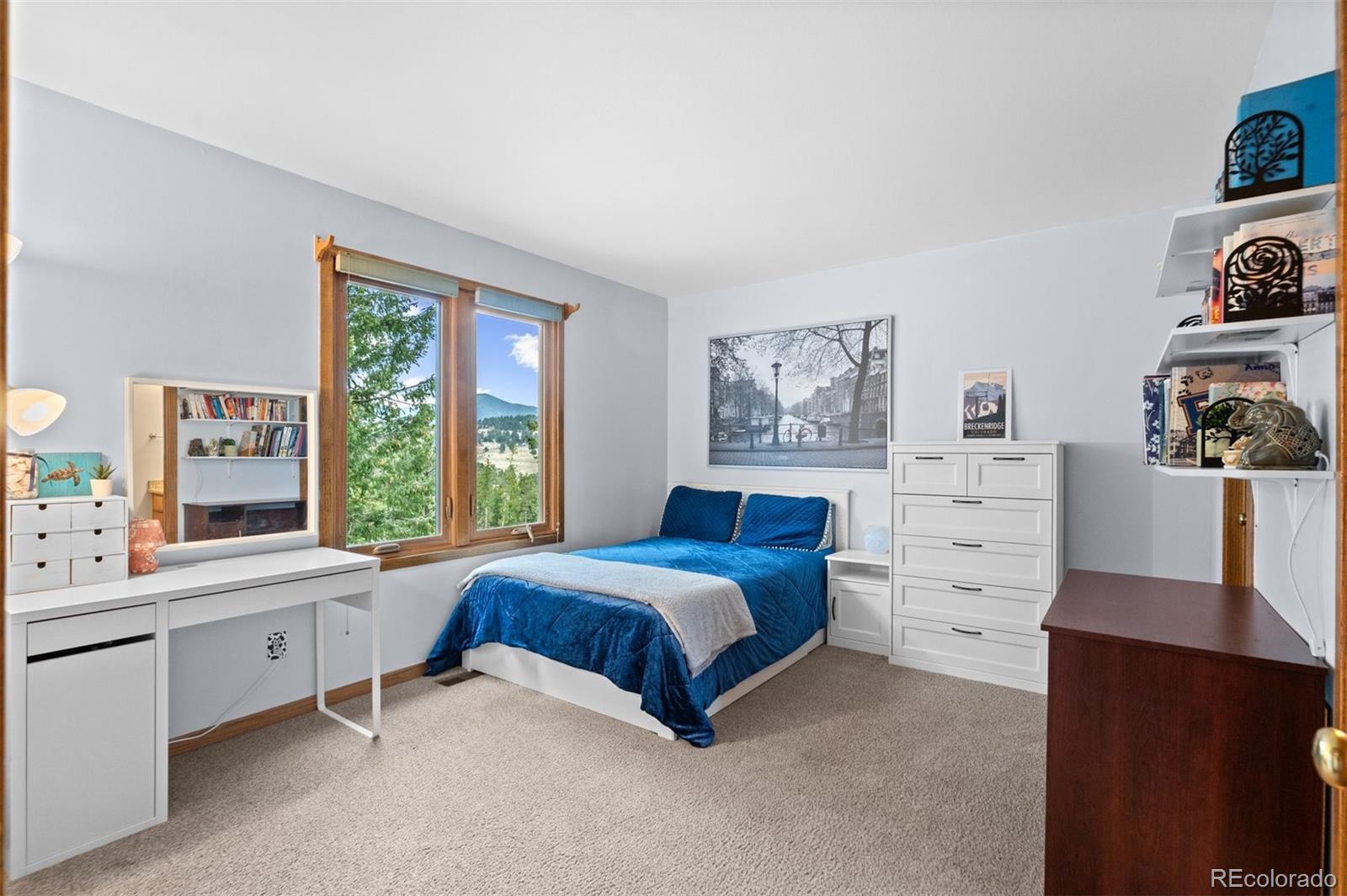MLS Image #32 for 5981  bluebell lane,evergreen, Colorado