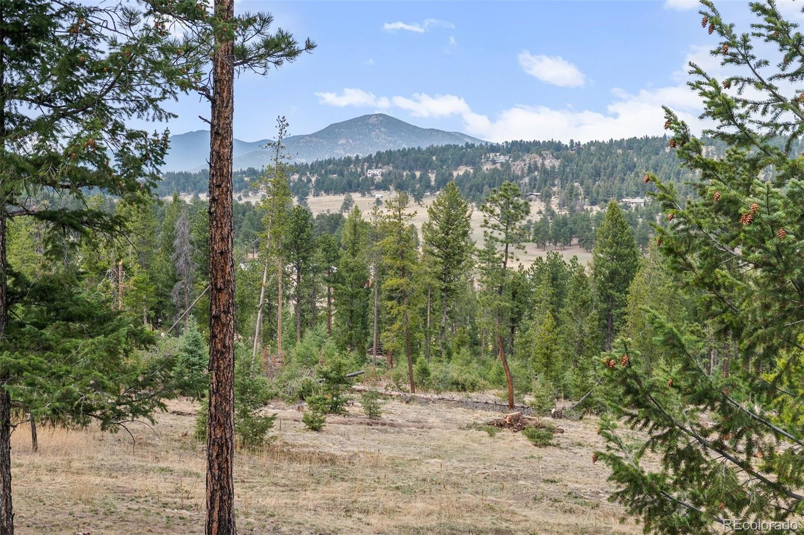 MLS Image #43 for 5981  bluebell lane,evergreen, Colorado