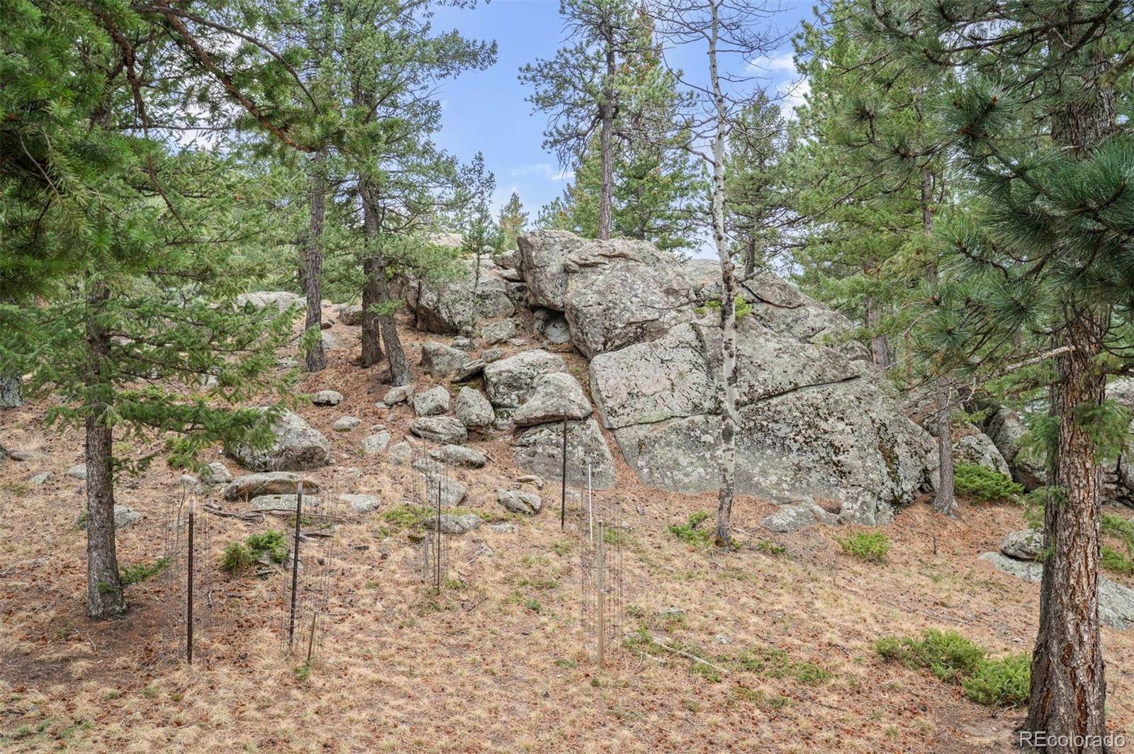 MLS Image #44 for 5981  bluebell lane,evergreen, Colorado