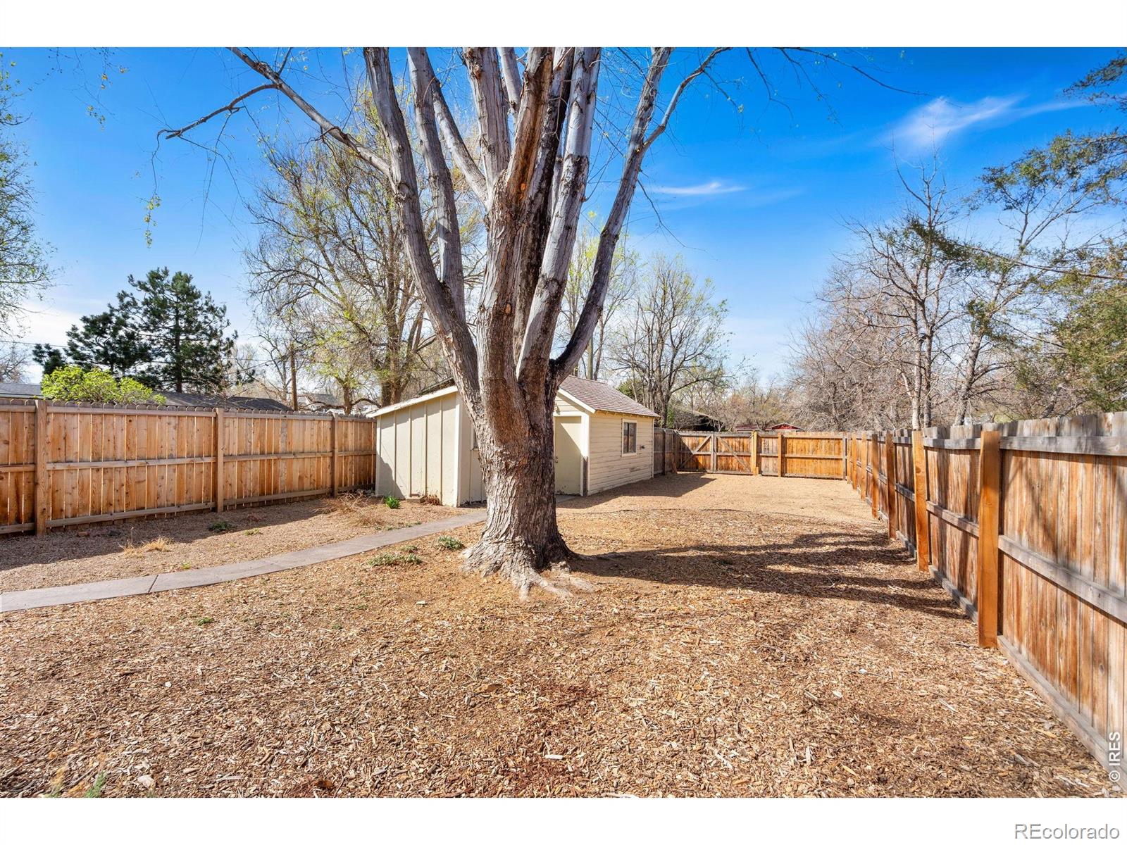 MLS Image #27 for 525 n grant avenue,fort collins, Colorado