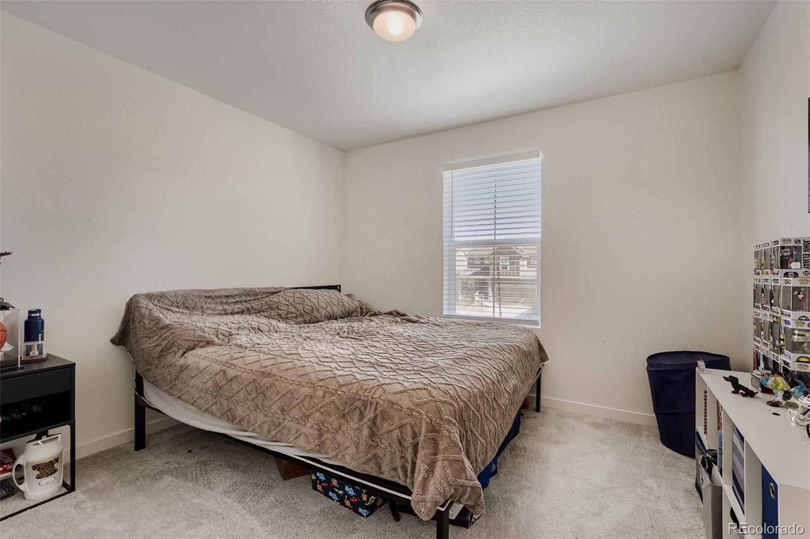MLS Image #22 for 46557  sunrise court,bennett, Colorado