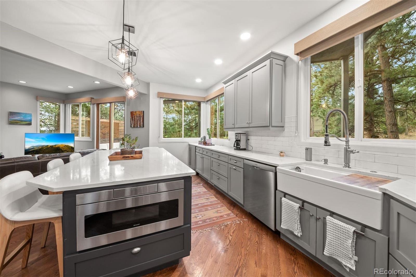 MLS Image #12 for 29972  troutdale ridge road,evergreen, Colorado