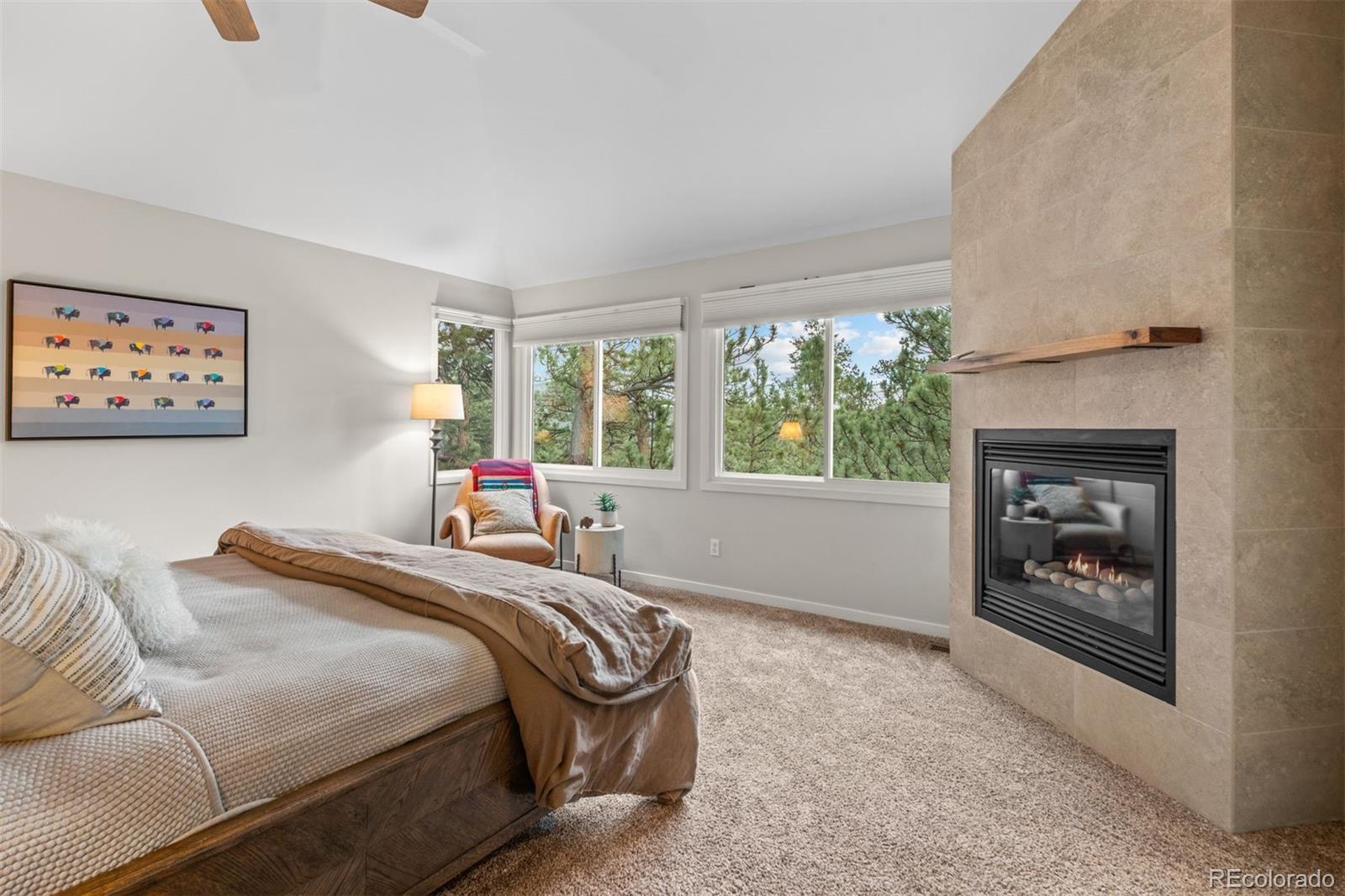 MLS Image #18 for 29972  troutdale ridge road,evergreen, Colorado