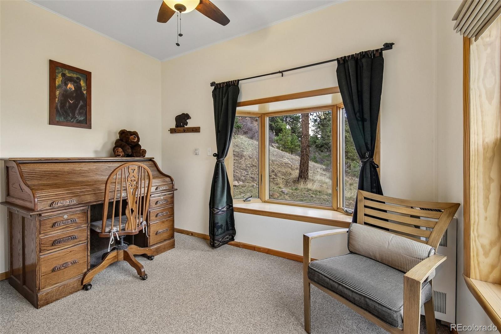 MLS Image #7 for 7555  rossman gulch road,morrison, Colorado