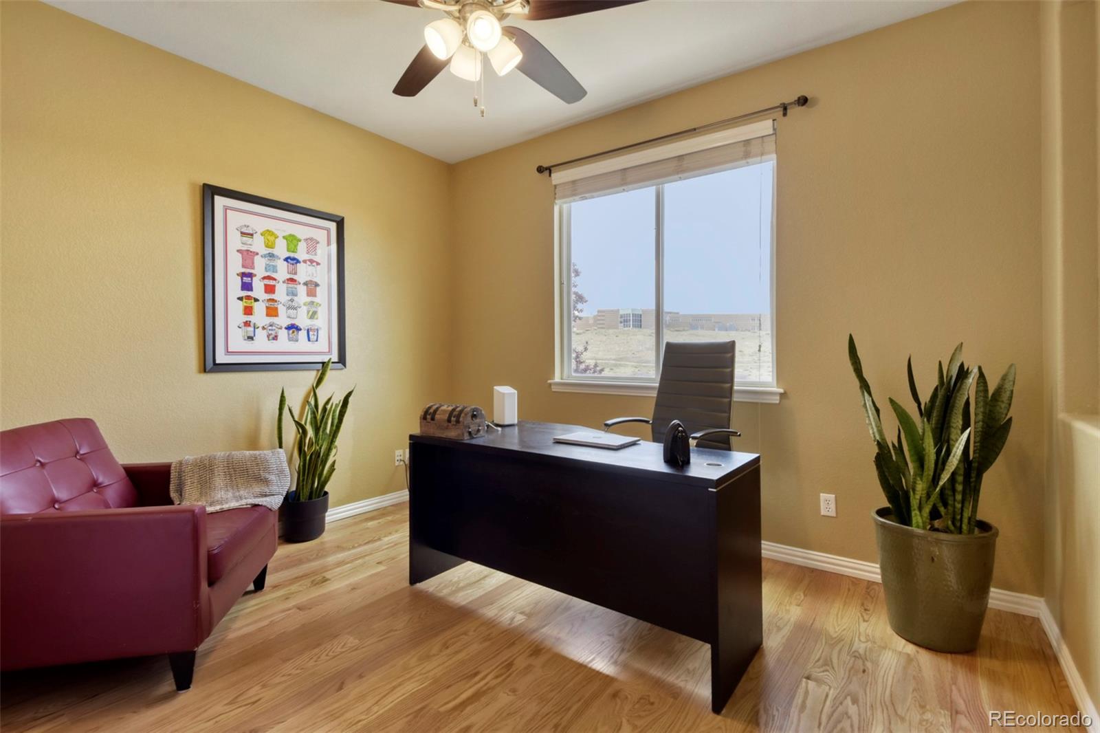 MLS Image #12 for 10653  chadsworth lane,highlands ranch, Colorado