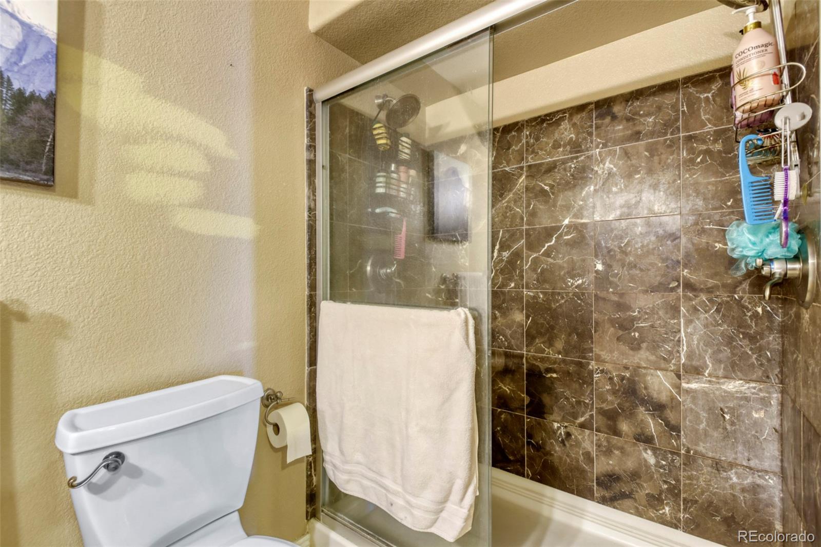 MLS Image #28 for 10653  chadsworth lane,highlands ranch, Colorado