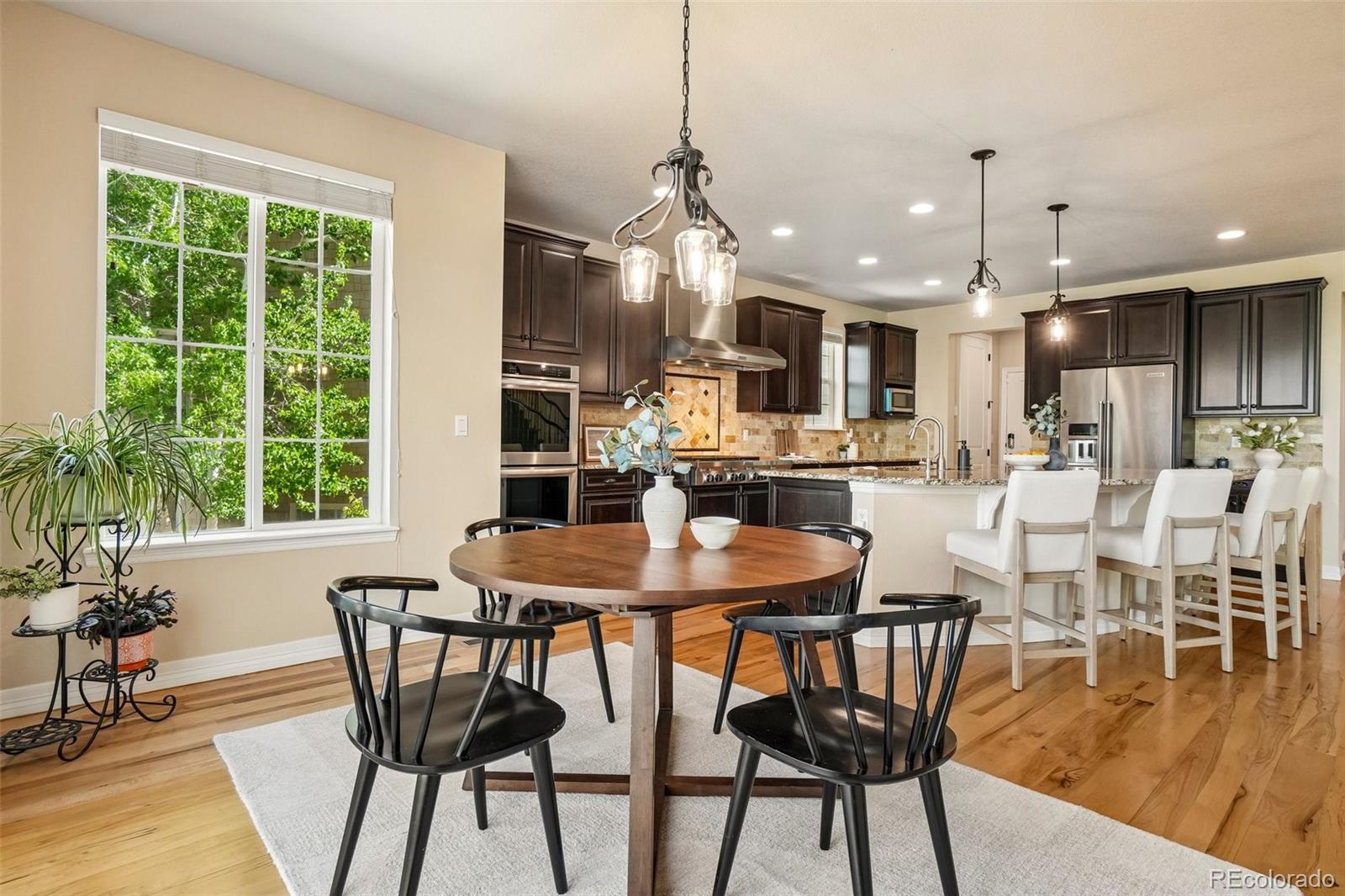MLS Image #10 for 26726 e peakview drive,aurora, Colorado