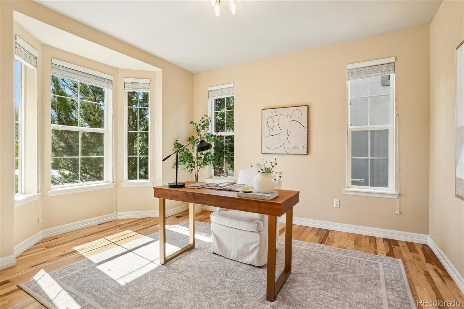 MLS Image #19 for 26726 e peakview drive,aurora, Colorado