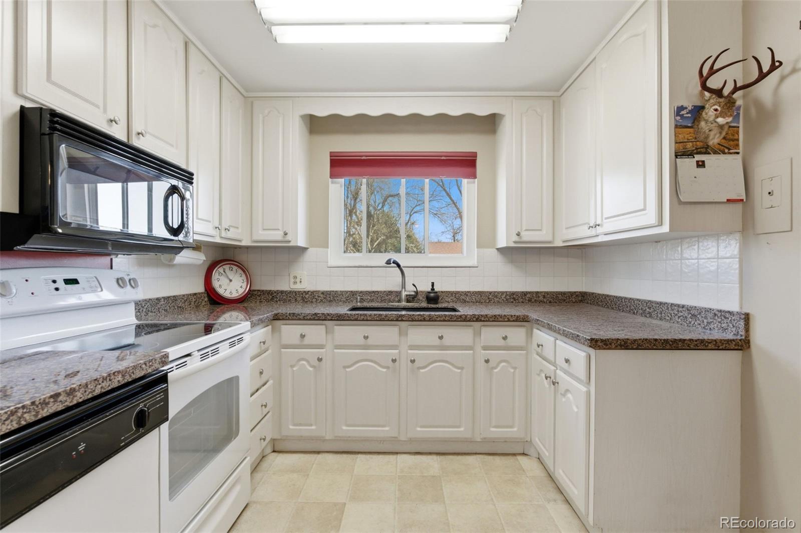 MLS Image #8 for 11335  franklin street,northglenn, Colorado
