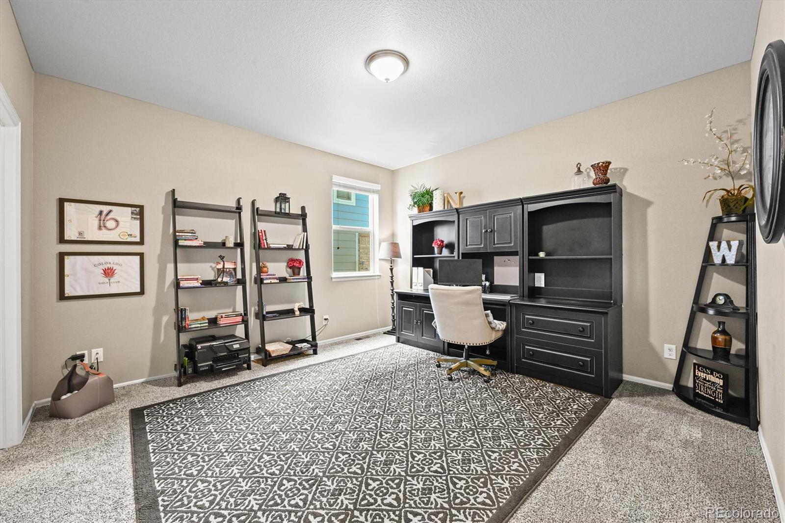 MLS Image #40 for 12168  eastern pine lane,parker, Colorado