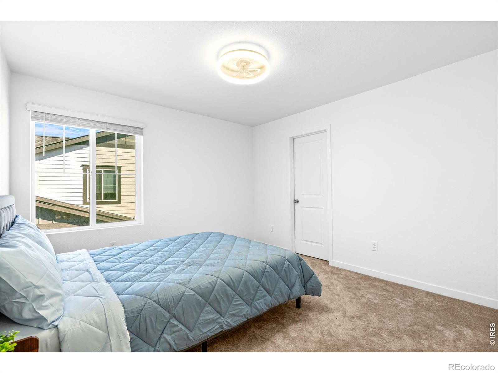 MLS Image #21 for 4280  apple cider street,timnath, Colorado
