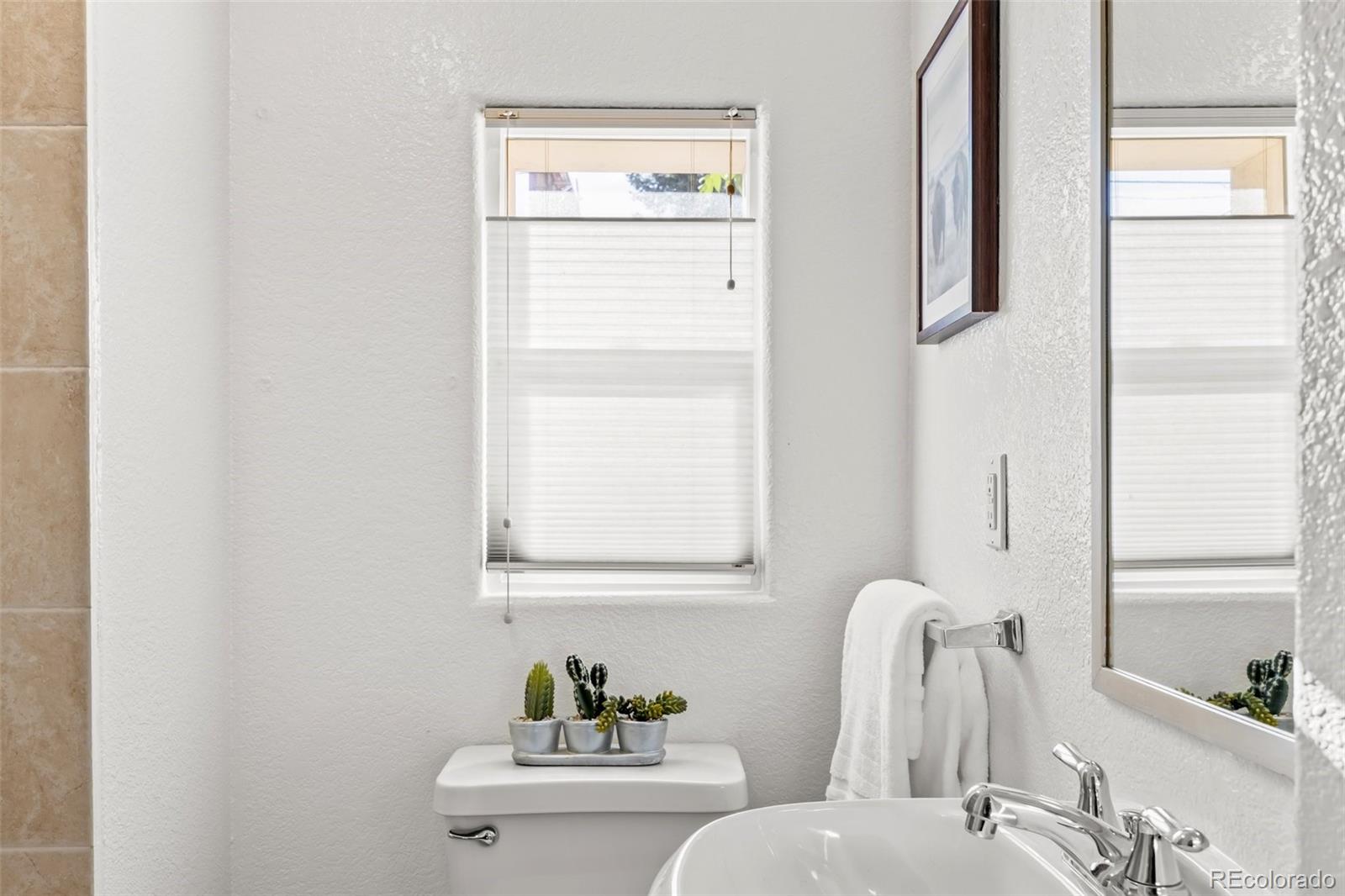 MLS Image #14 for 321-323  inca street,denver, Colorado