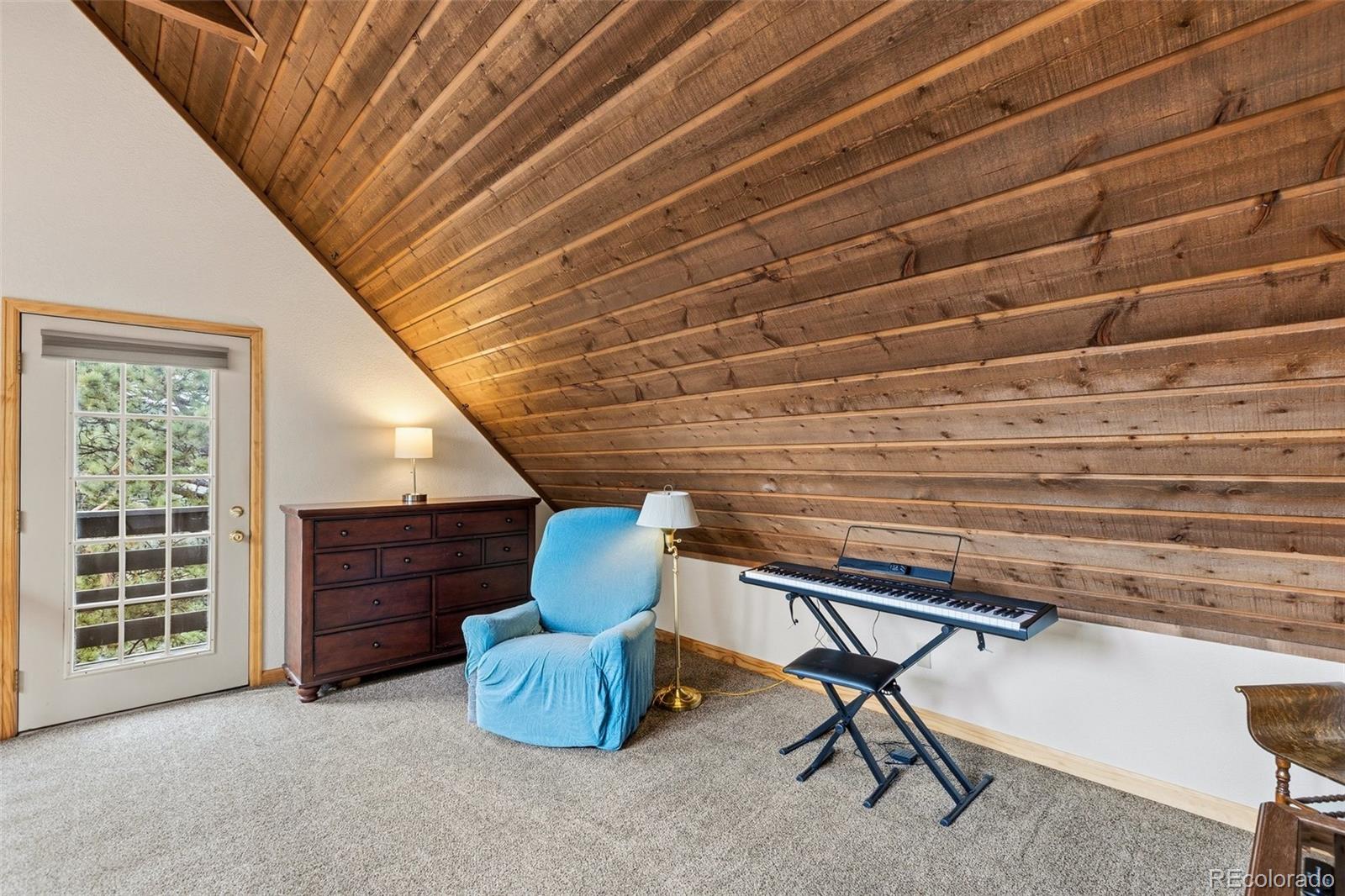 MLS Image #28 for 200  sun ridge court,woodland park, Colorado