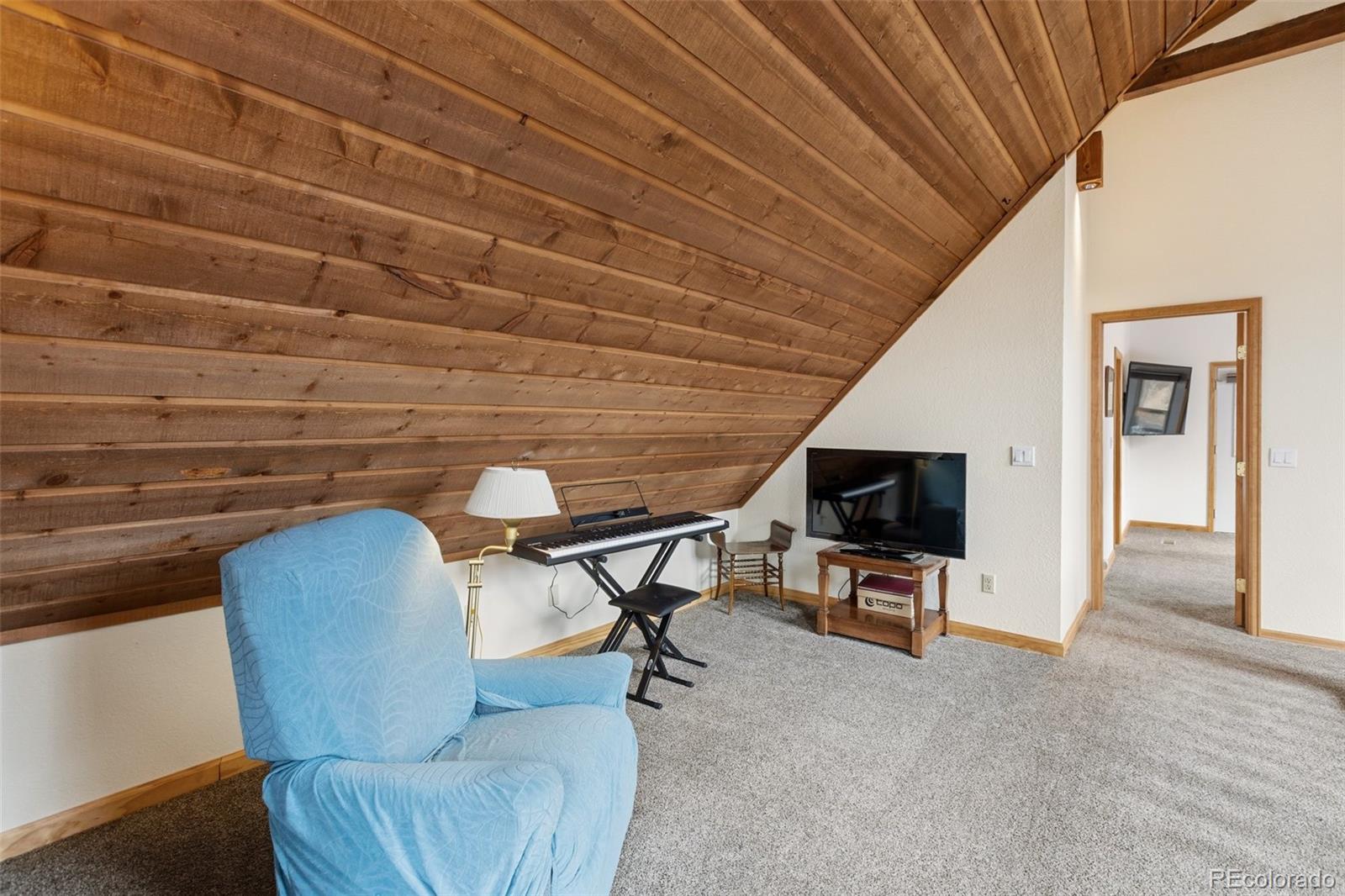 MLS Image #29 for 200  sun ridge court,woodland park, Colorado
