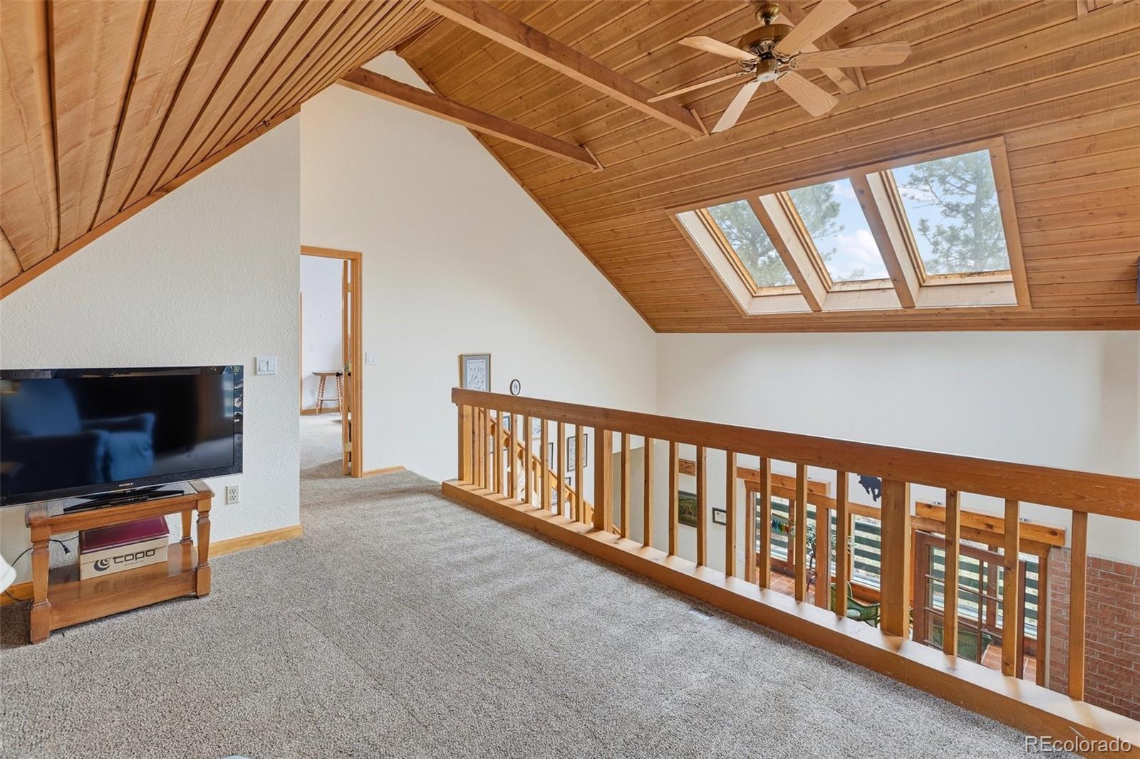 MLS Image #30 for 200  sun ridge court,woodland park, Colorado