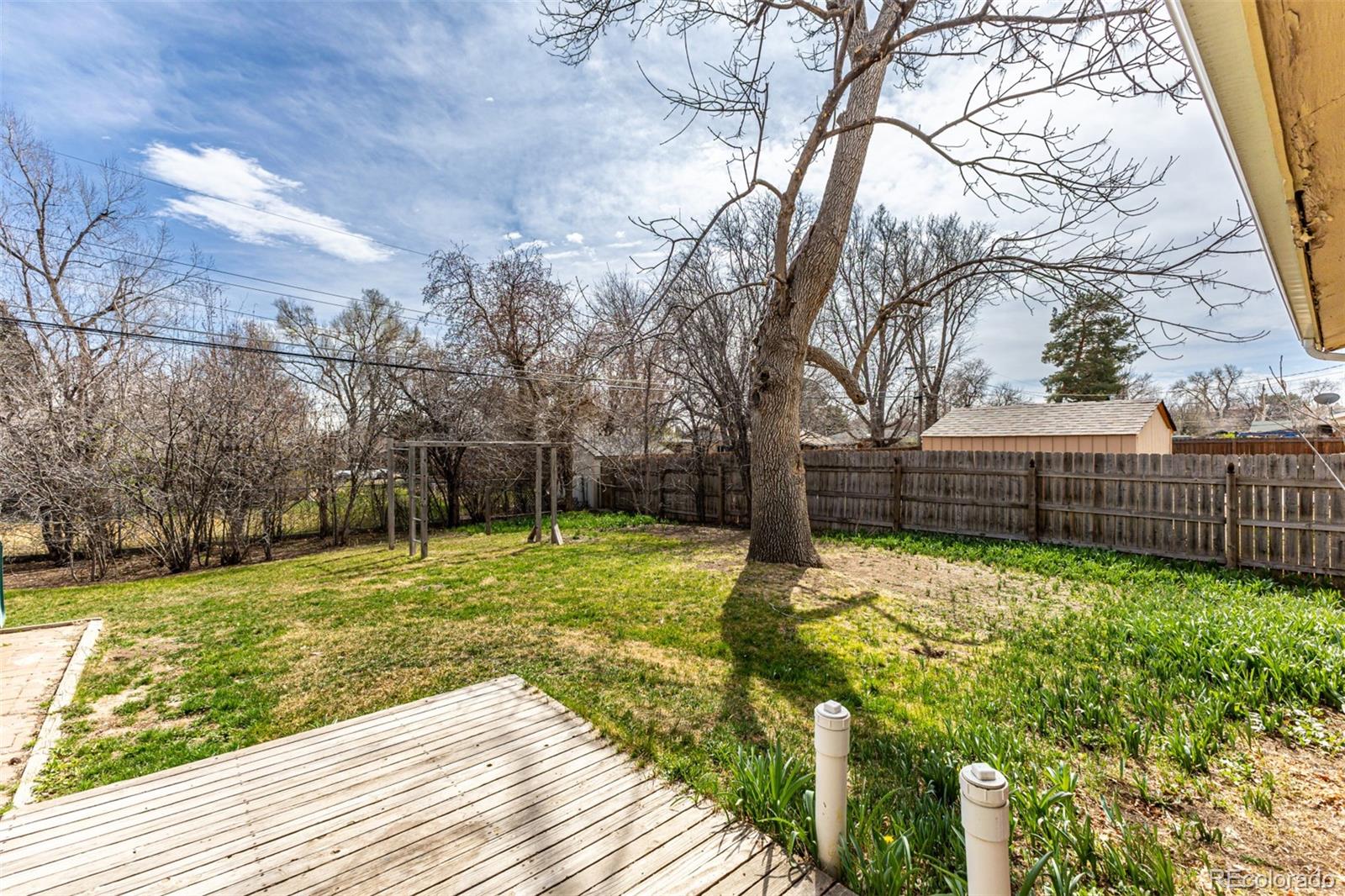 MLS Image #32 for 40  dover street,lakewood, Colorado