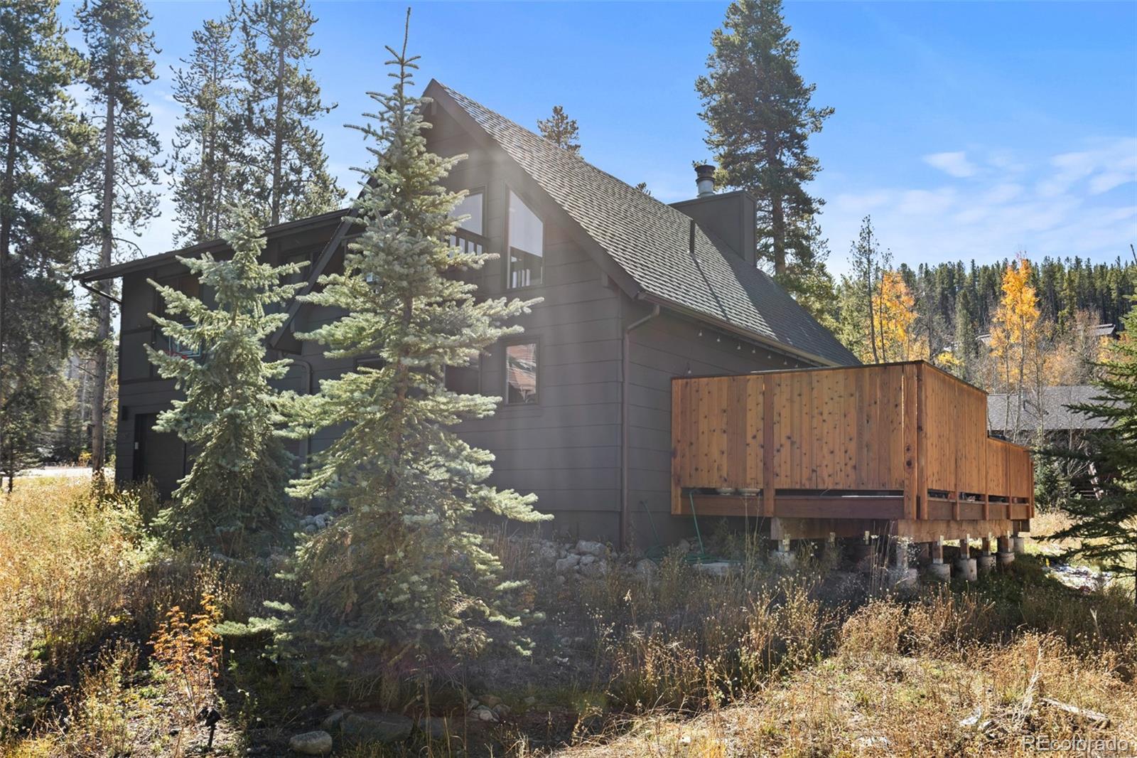 MLS Image #22 for 14  red feather road,breckenridge, Colorado