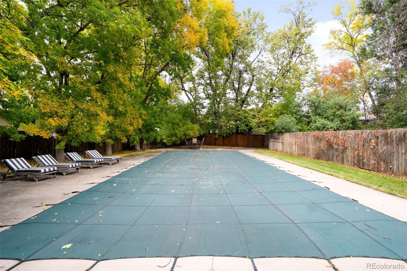 MLS Image #34 for 3477 s clayton boulevard,englewood, Colorado