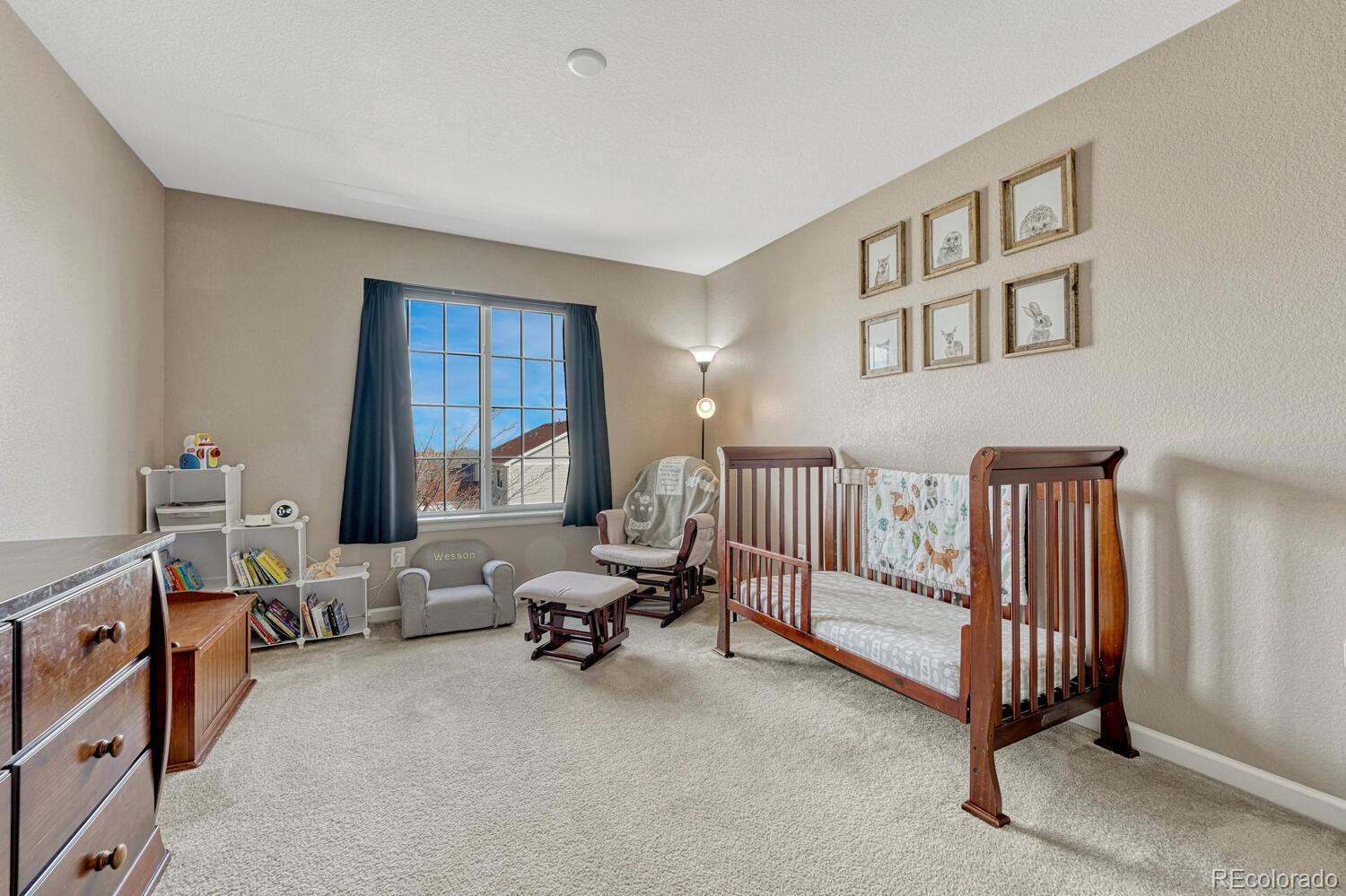 MLS Image #22 for 7516  oasis drive,castle rock, Colorado