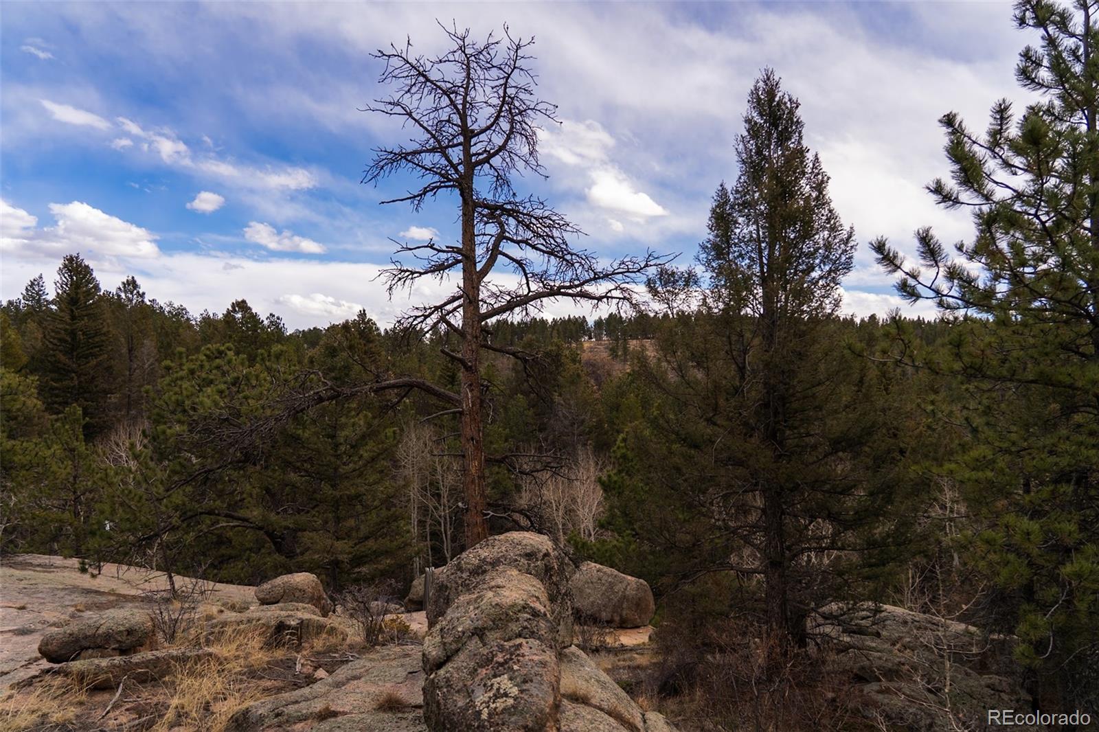 MLS Image #36 for 12581 s us hwy 285 ,conifer, Colorado