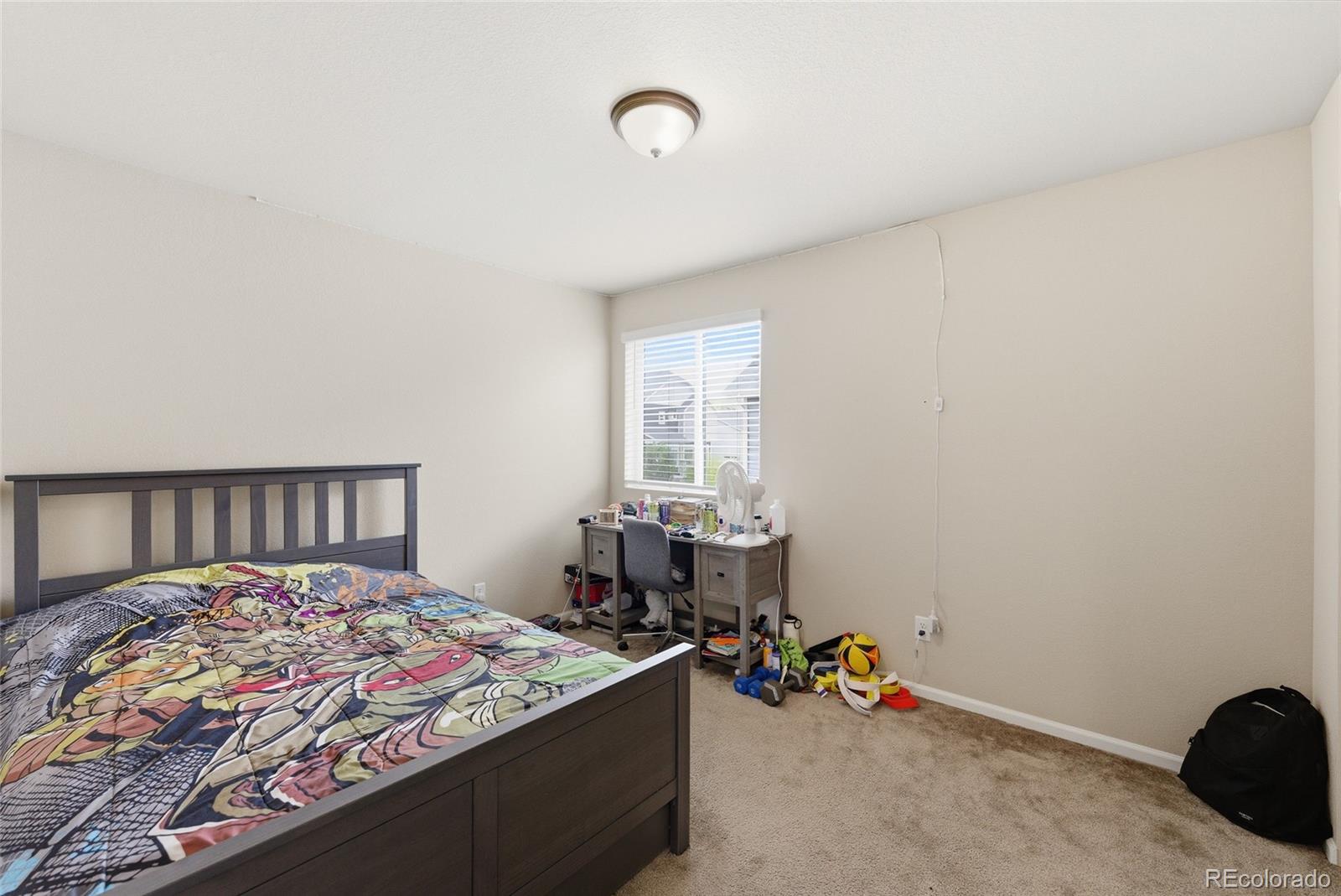 MLS Image #19 for 17517 e 103rd avenue,commerce city, Colorado