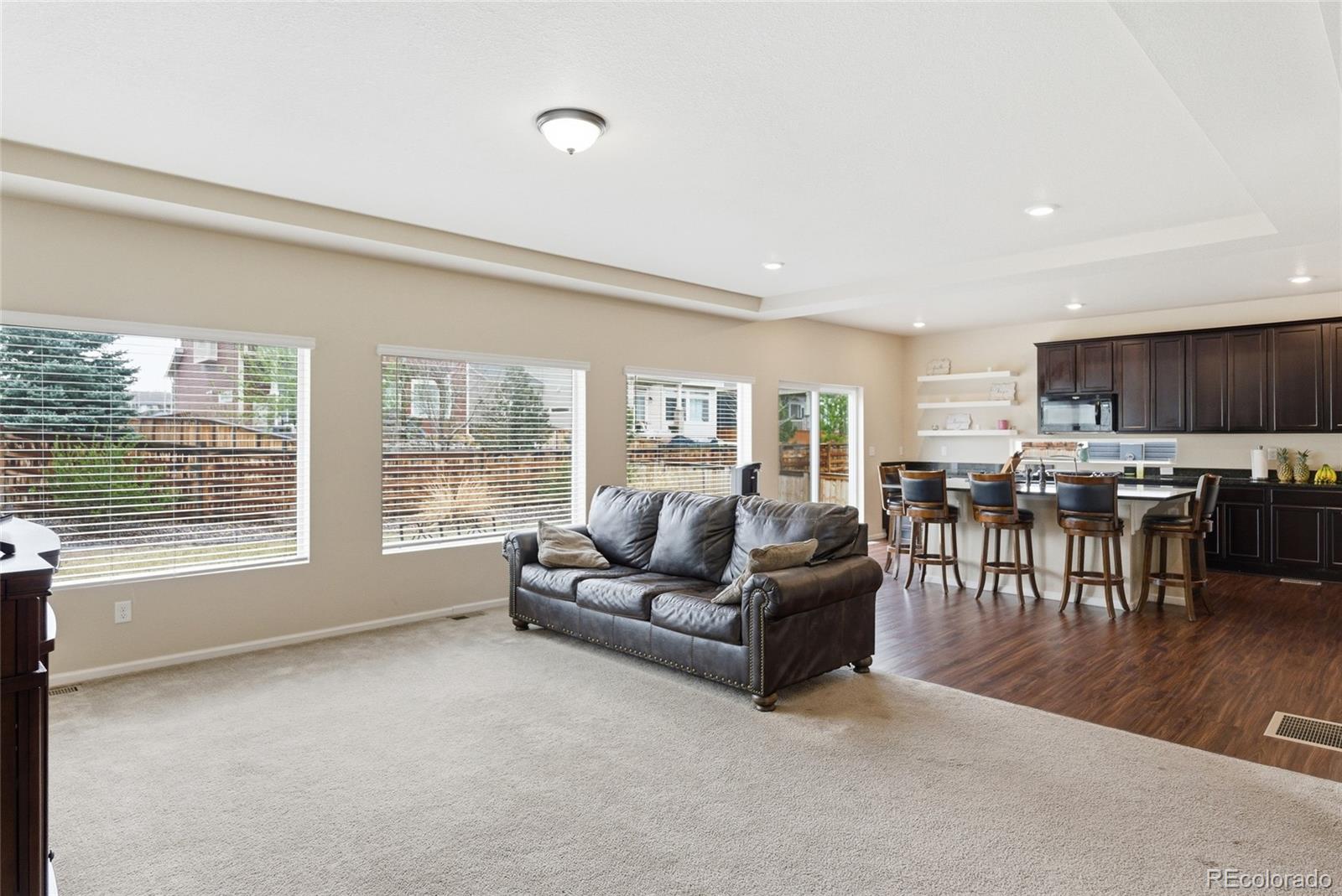 MLS Image #5 for 17517 e 103rd avenue,commerce city, Colorado