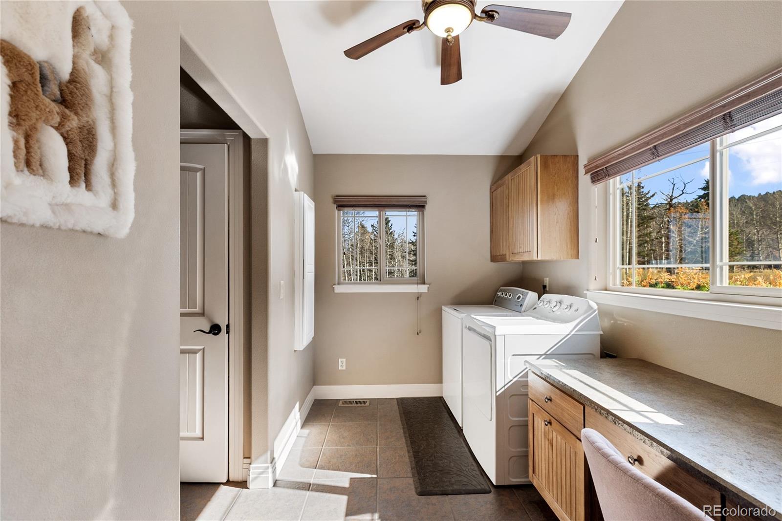 MLS Image #23 for 19  worley road,divide, Colorado