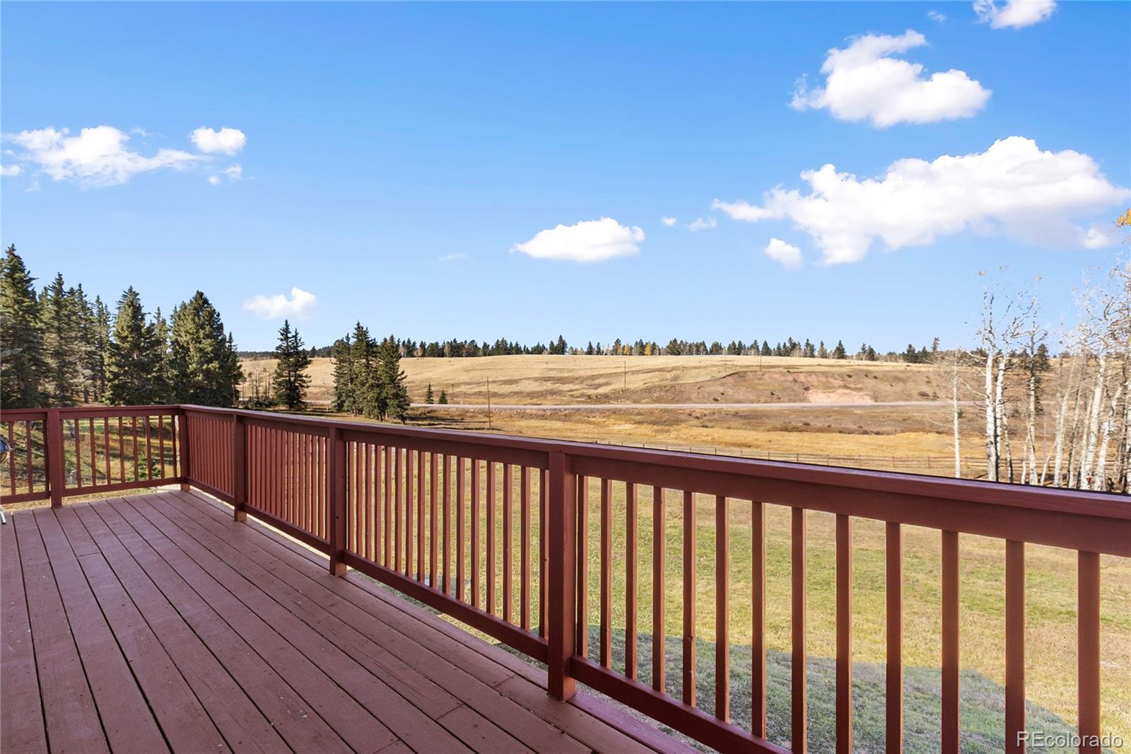 MLS Image #3 for 19  worley road,divide, Colorado