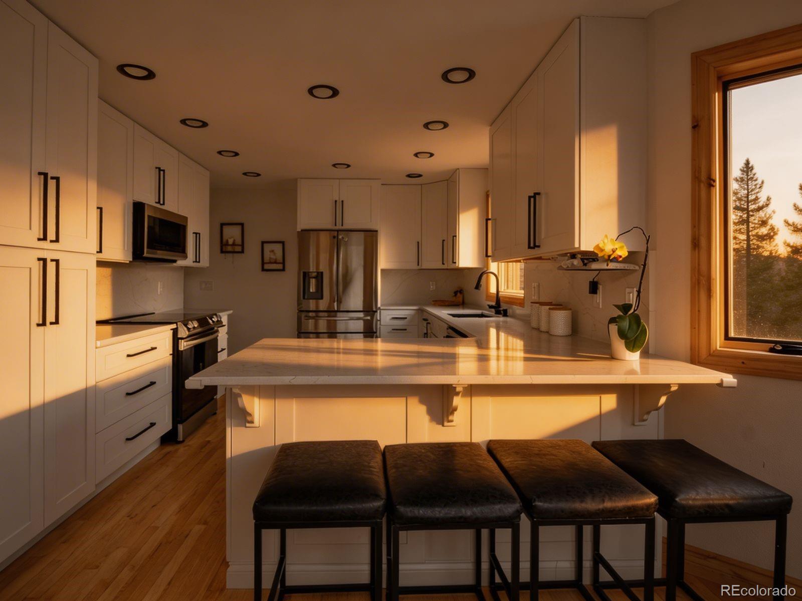 MLS Image #11 for 69  spruce court,evergreen, Colorado