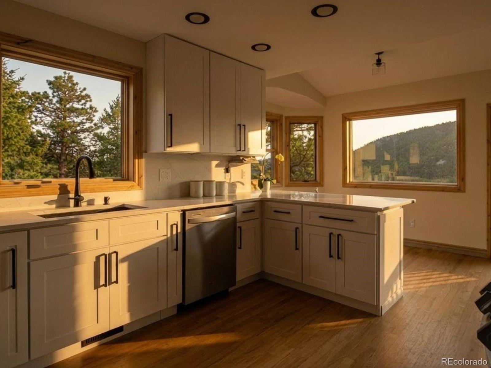 MLS Image #9 for 69  spruce court,evergreen, Colorado