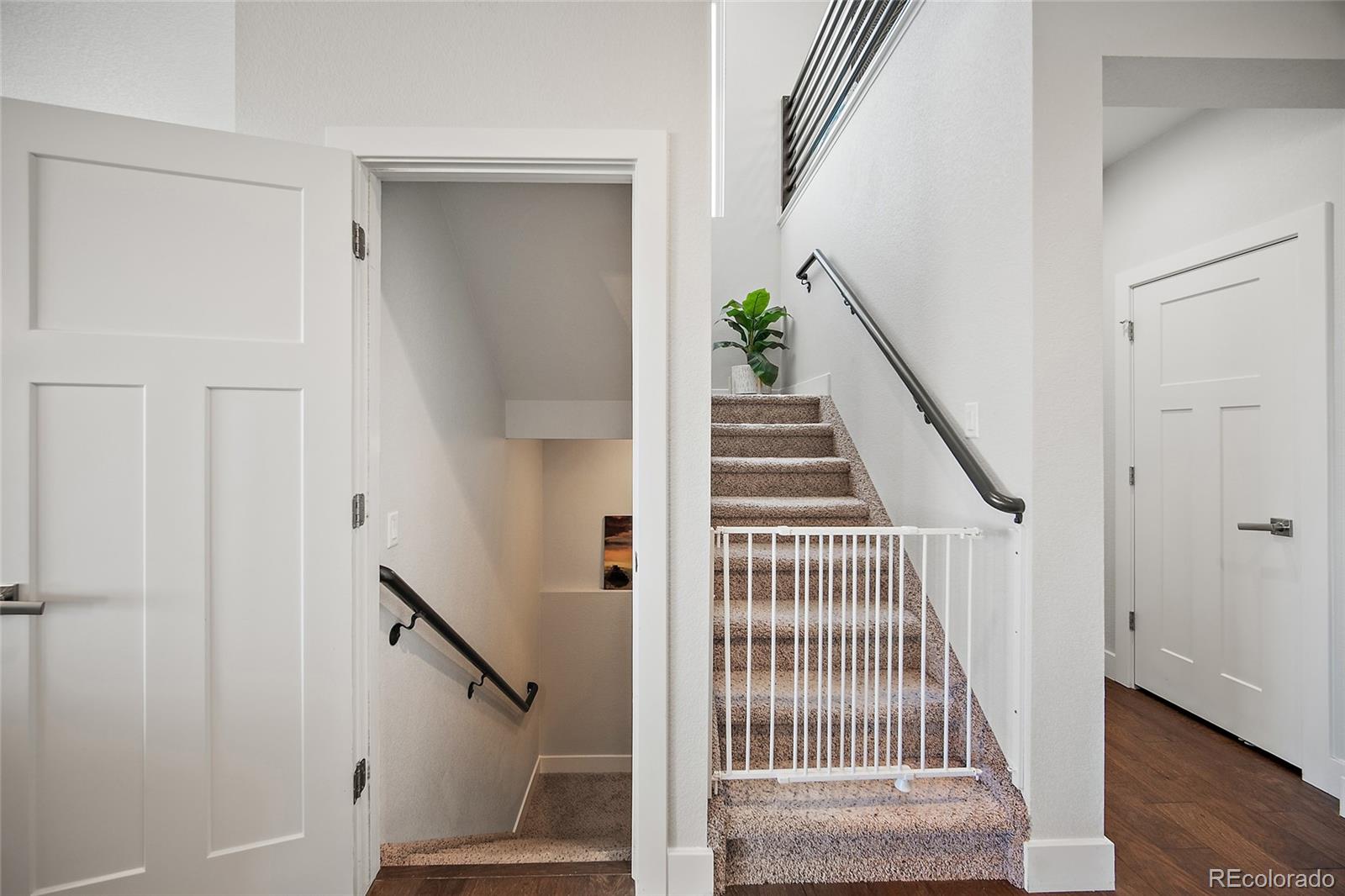 MLS Image #21 for 7814  pinfeather drive,fountain, Colorado