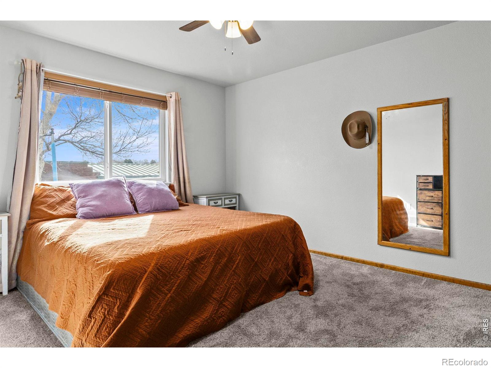 MLS Image #10 for 1098  lavender avenue,loveland, Colorado