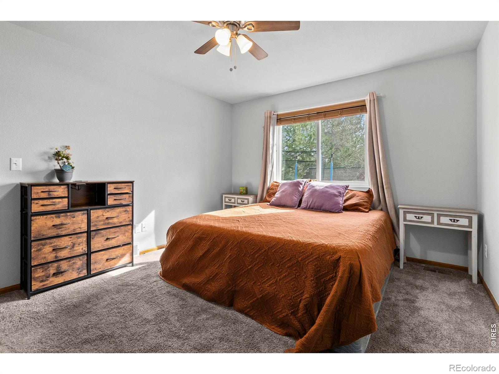 MLS Image #12 for 1098  lavender avenue,loveland, Colorado