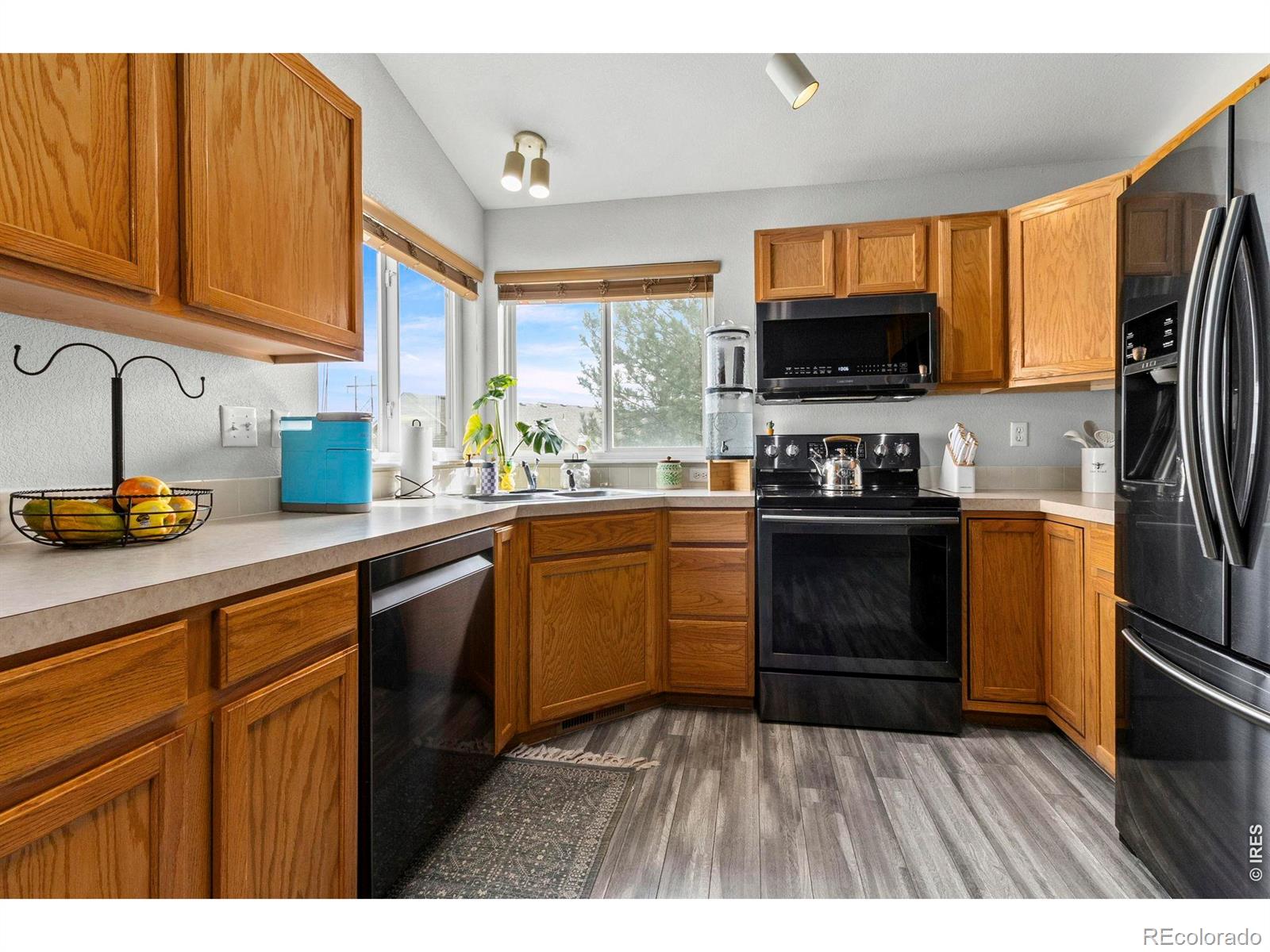 MLS Image #4 for 1098  lavender avenue,loveland, Colorado