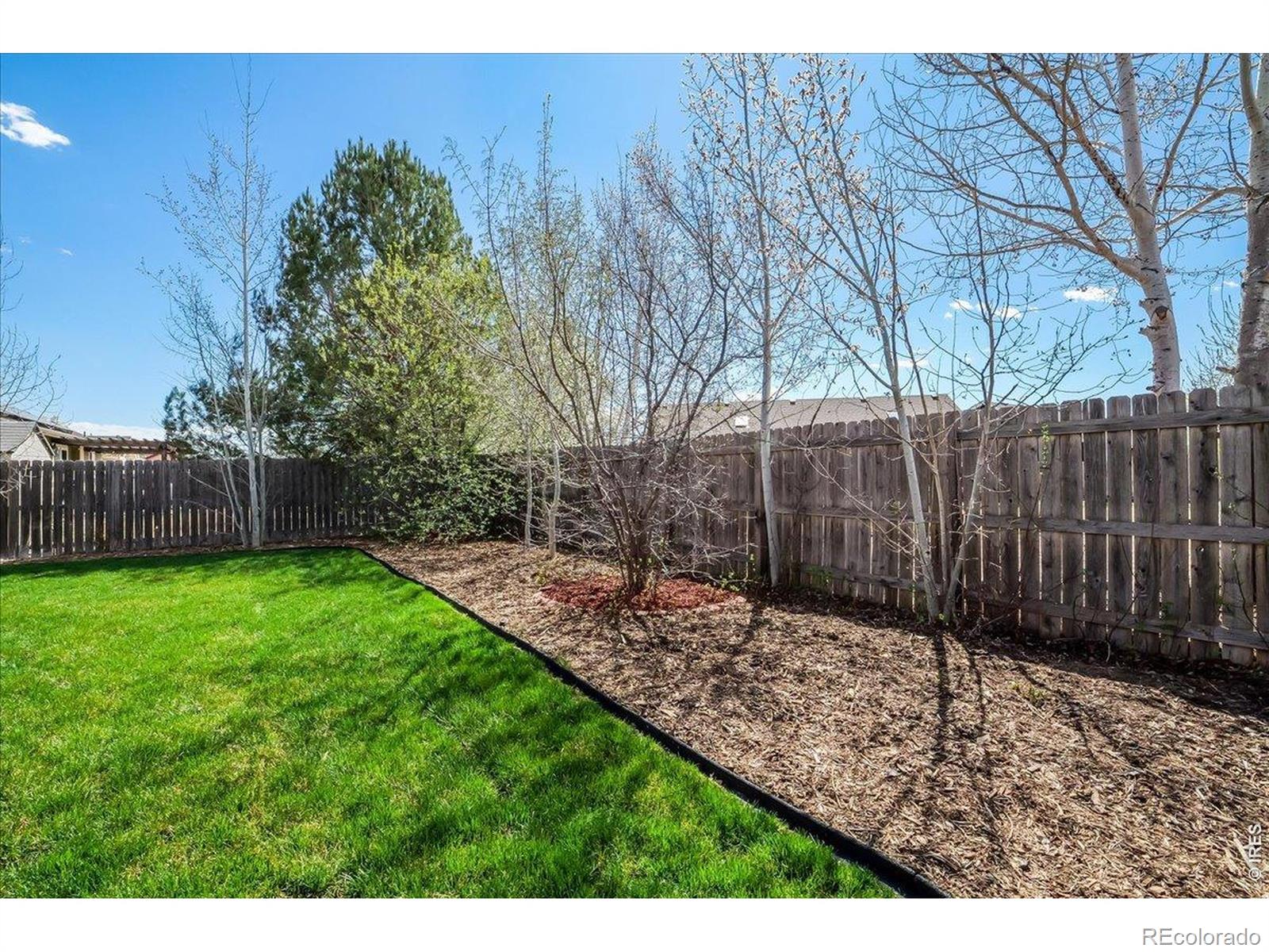 MLS Image #27 for 883  emerald drive,windsor, Colorado